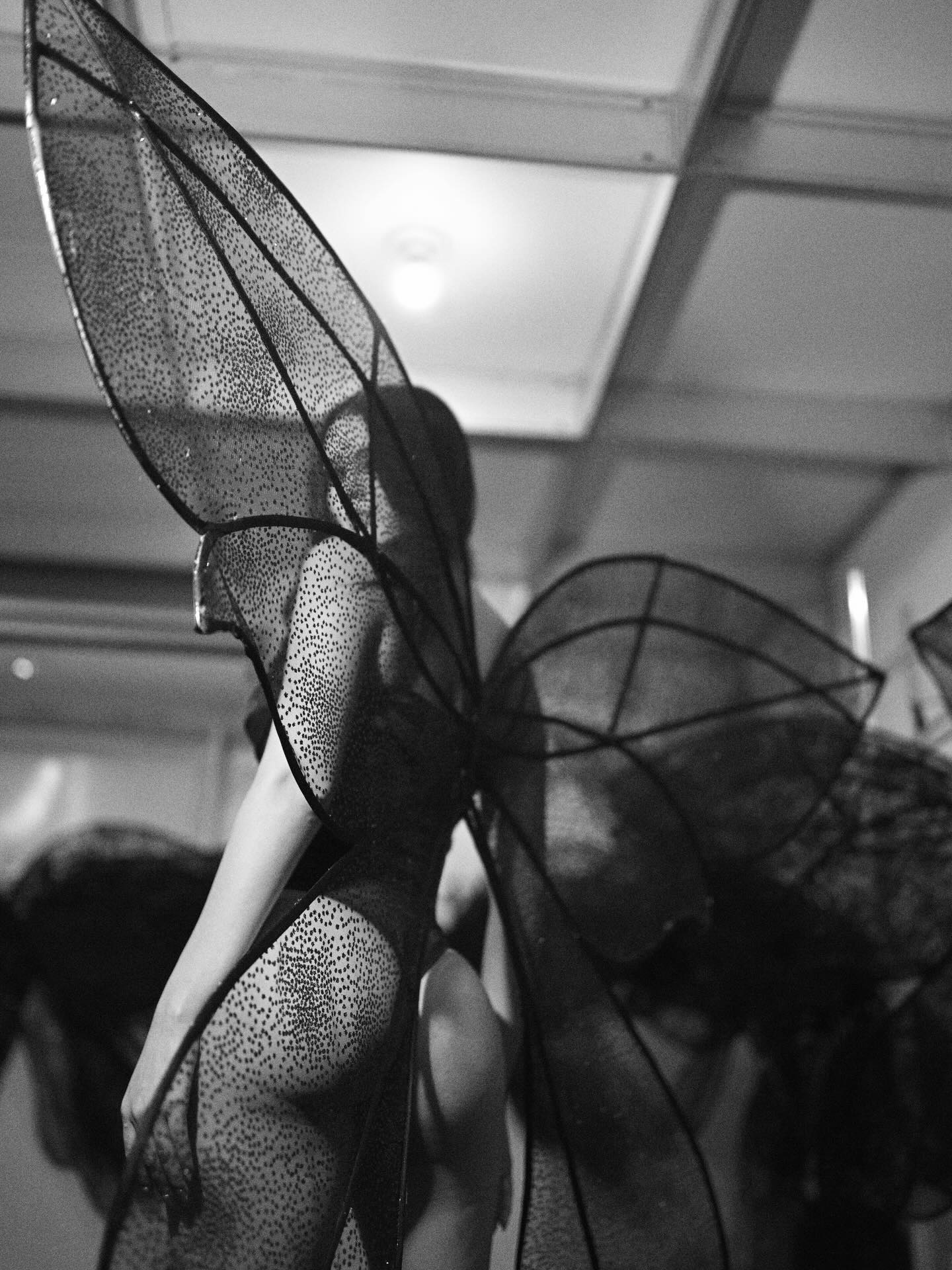 Eslovenia Marques, Lingerie - [27/04/2026]